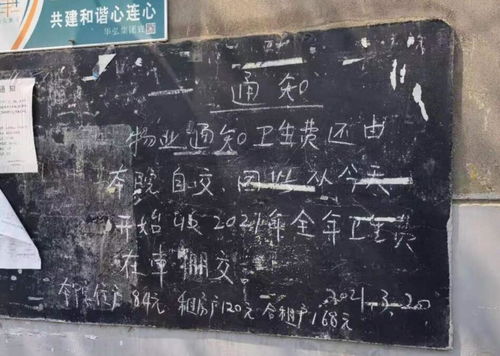 碑林区邮政局家属院小区收垃圾费有三个标准